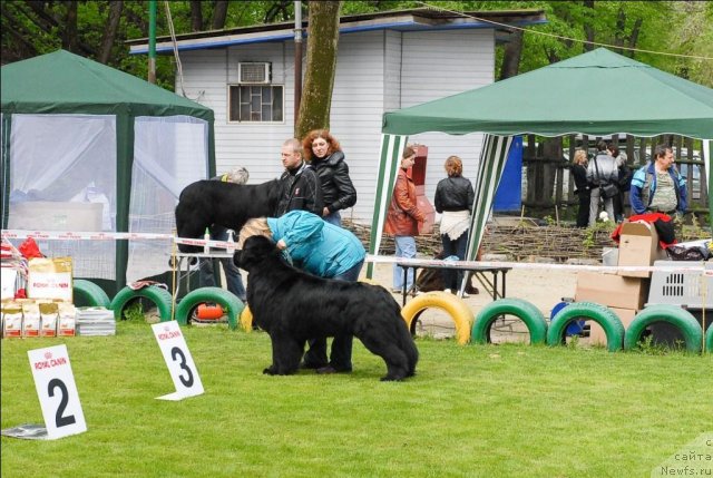 Фотография № 65760