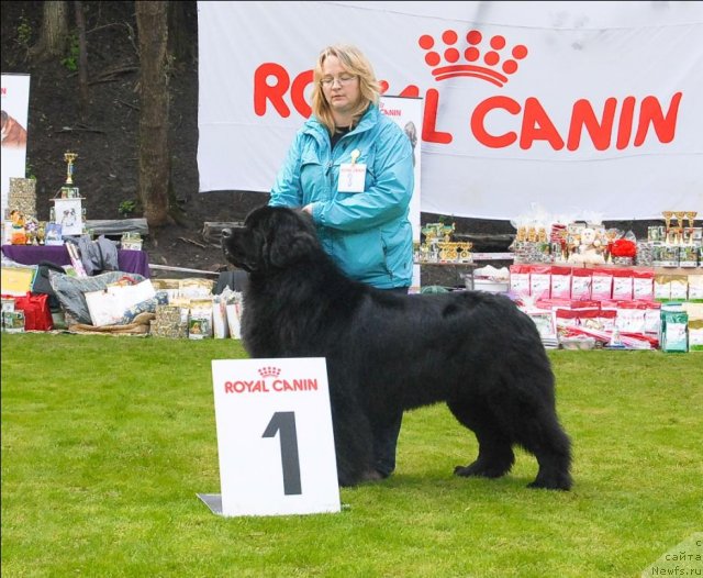 Фотография № 65762