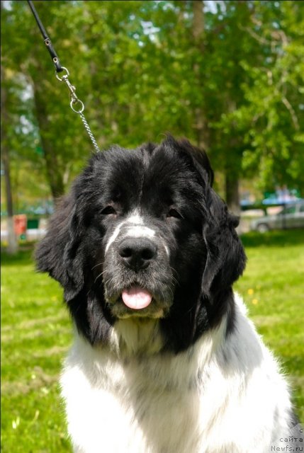 Фотография № 65773