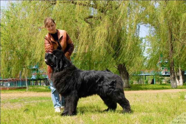 Фотография № 65782