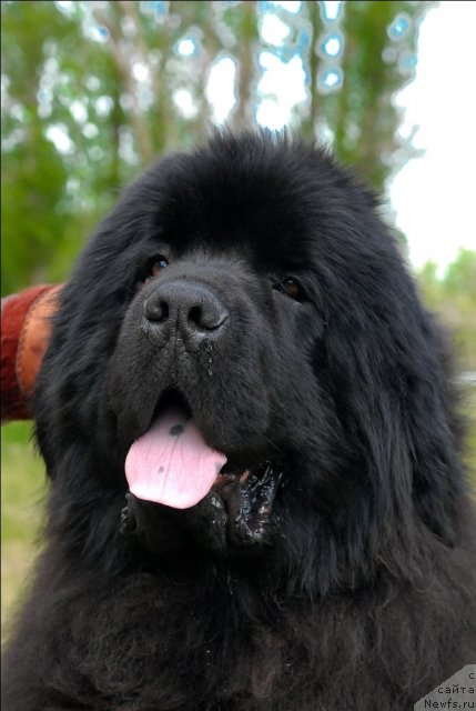 Фотография № 65787