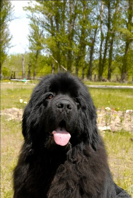 Фотография № 65790