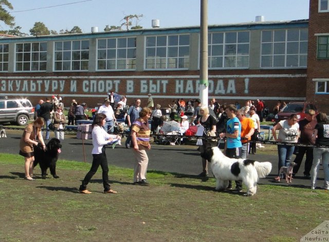 Фотография № 65799