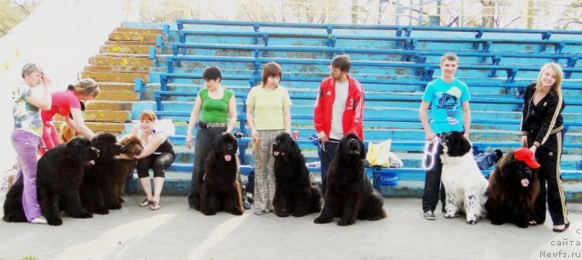 Фотография № 65804