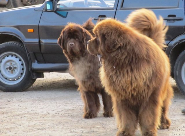 Фотография № 65821