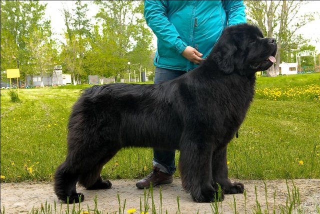 Фотография № 65852