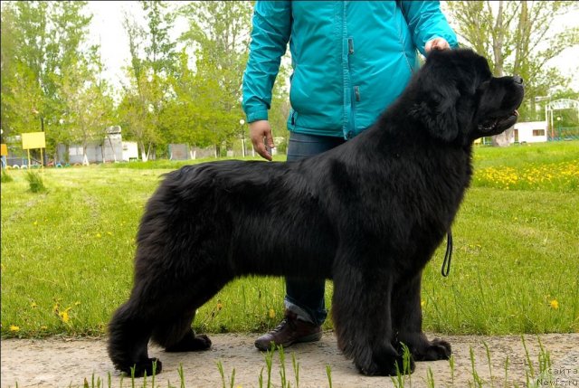 Фотография № 65855