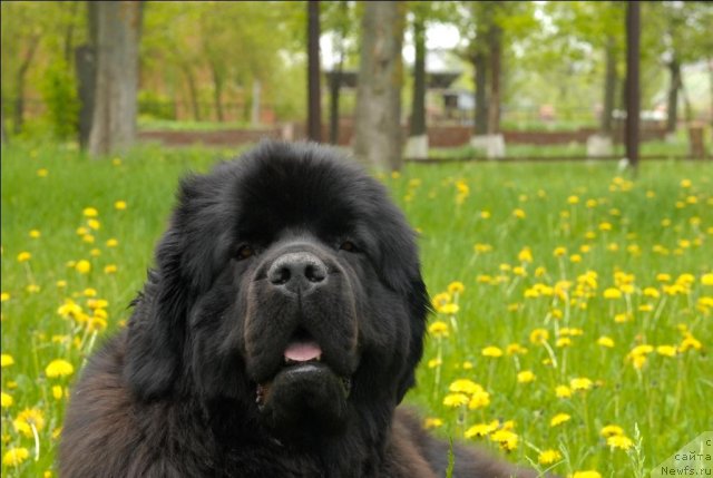 Фотография № 65863