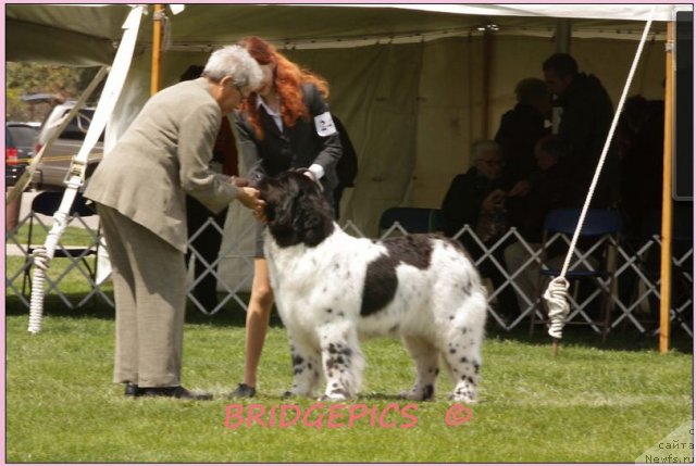 Фотография № 65914