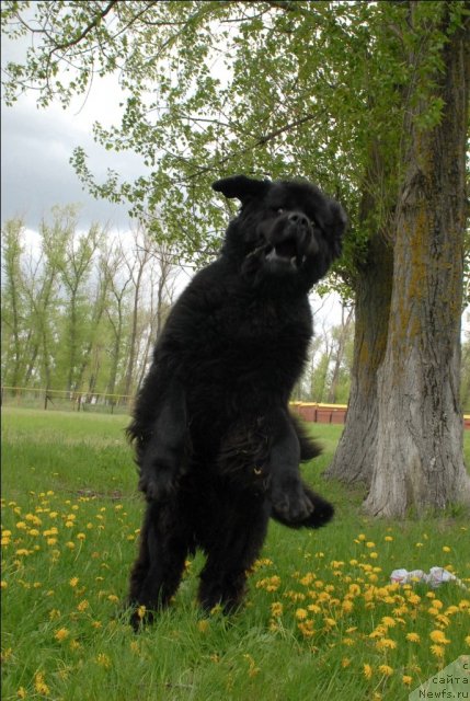 Фотография № 65929