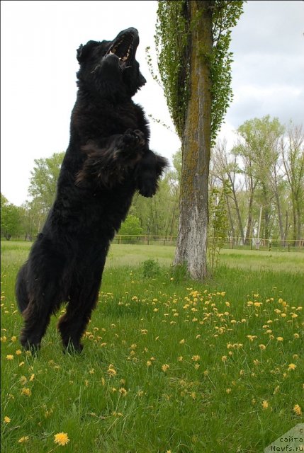 Фотография № 65931