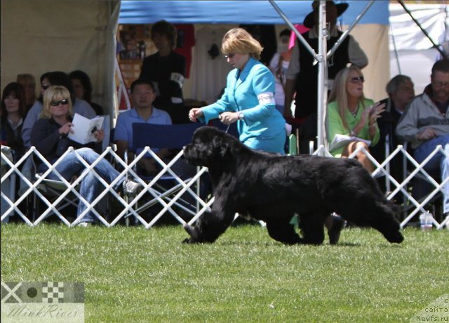 Фотография № 65959