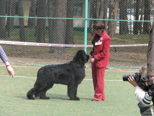 Фотография № 66011