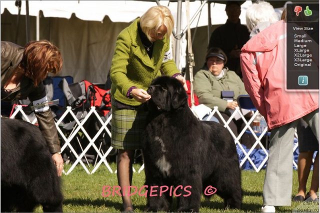 Фотография № 66020