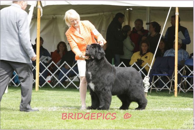 Фотография № 66023