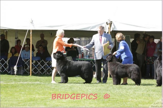 Фотография № 66026