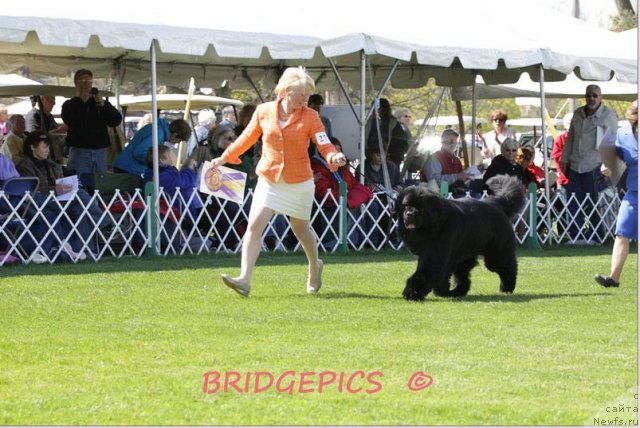 Фотография № 66029