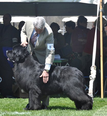 Фотография № 66061