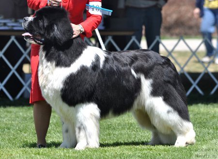 Фотография № 66073