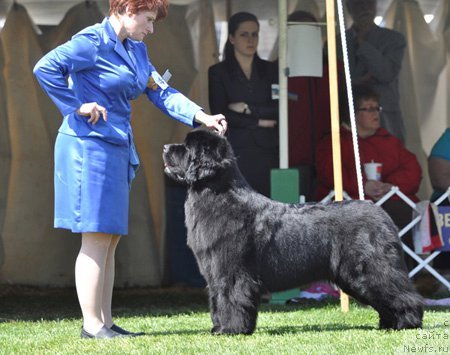 Фотография № 66114