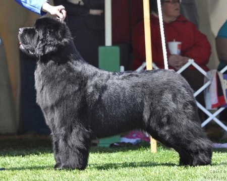 Фотография № 66115