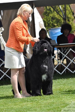 Фотография № 66118