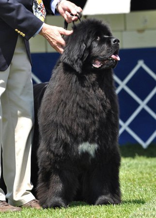 Фотография № 66125