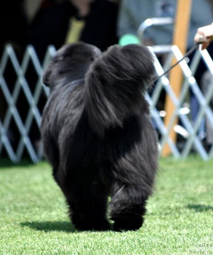 Фотография № 66137