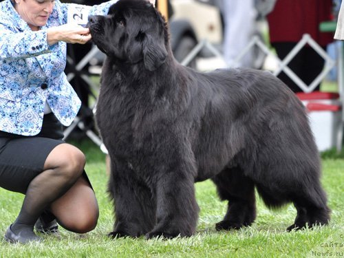 Фотография № 66138