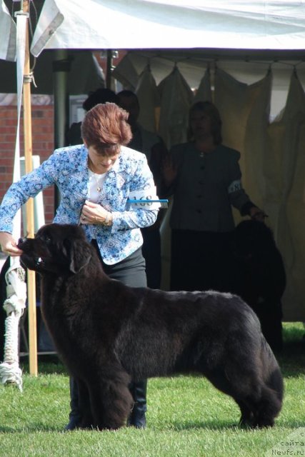 Фотография № 66141