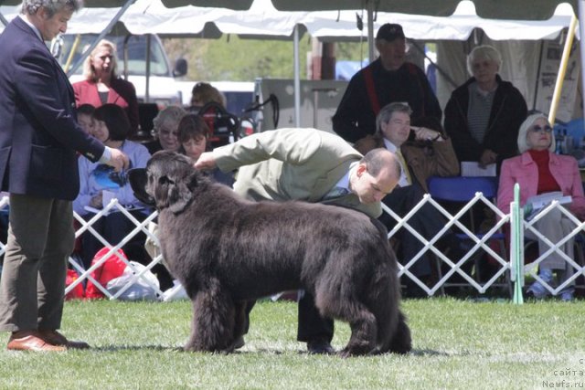 Фотография № 66149