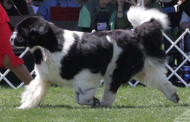 Фотография № 66151