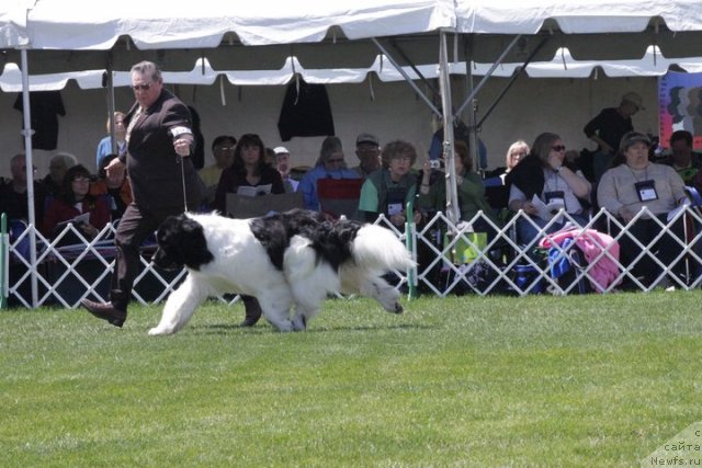 Фотография № 66155