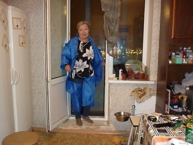 Фотография № 66159