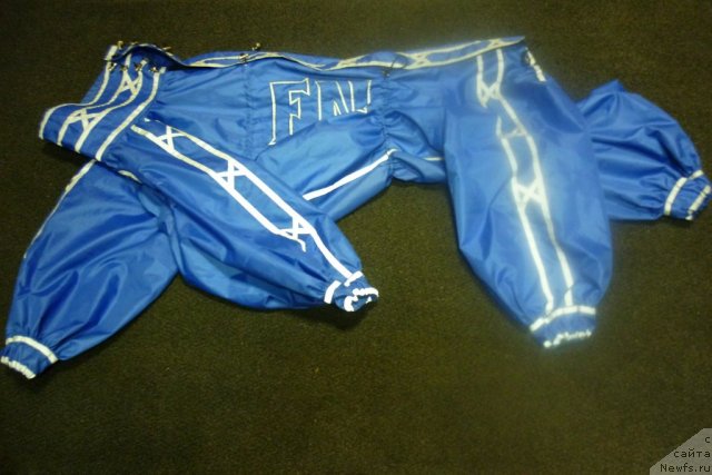 Фотография № 66164