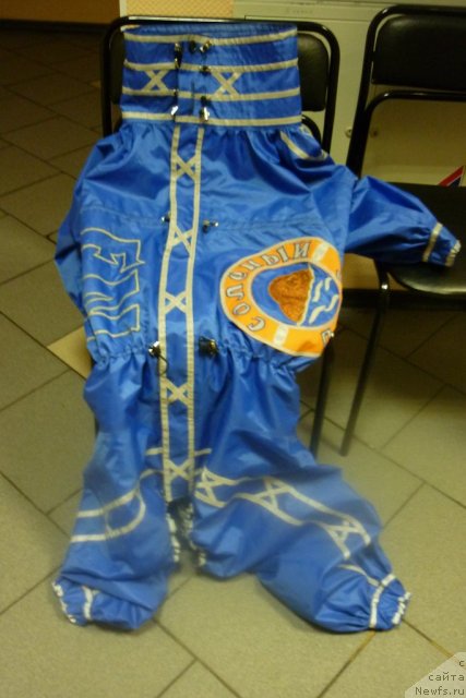 Фотография № 66168