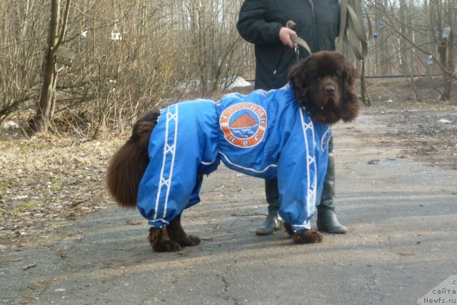 Фотография № 66171