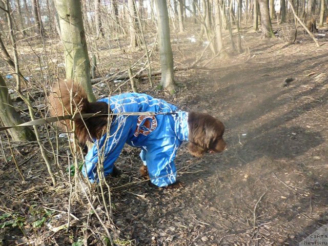 Фотография № 66173