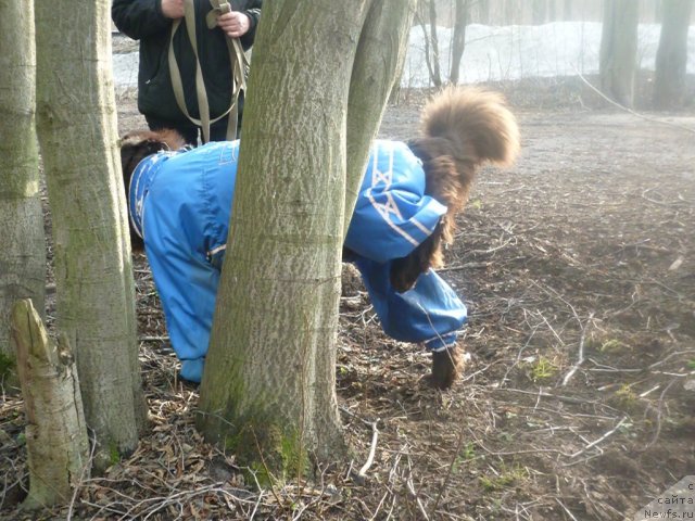 Фотография № 66178