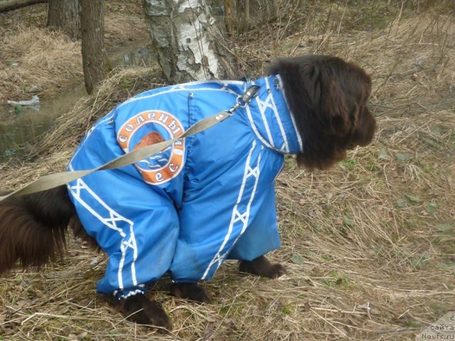 Фотография № 66179