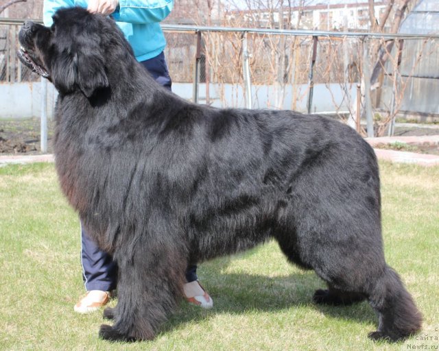 Фотография № 66180