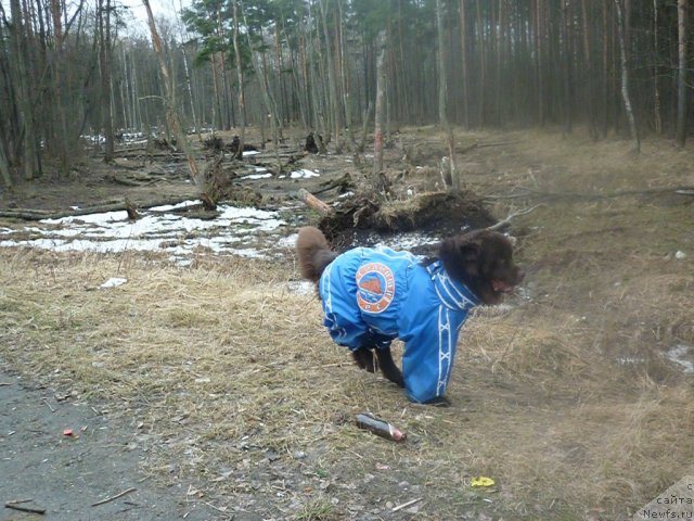 Фото: [d9243] 24.04.2011.