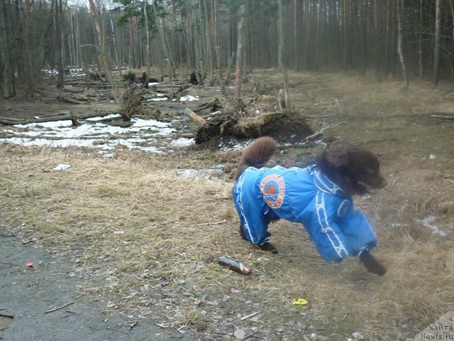 Фотография № 66185