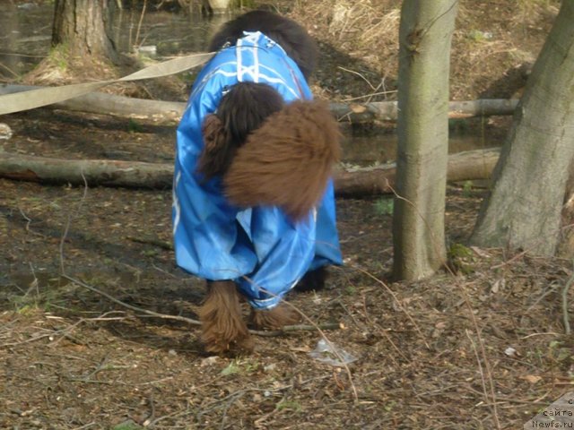 Фотография № 66186