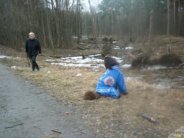 Фотография № 66188