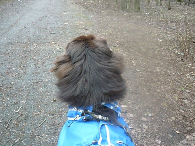 Фотография № 66190