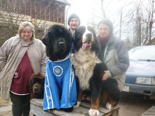 Фото: ньюфаундленд Фанньюф Госпожа Удача (Funnewf Gospozha Udacha), ньюфаундленд Фанньюф Улетная Девчонка (Funnewf Uletnaya Devchenka), УРАН, [

p1266], Витя Малинин, Ольга Браславская