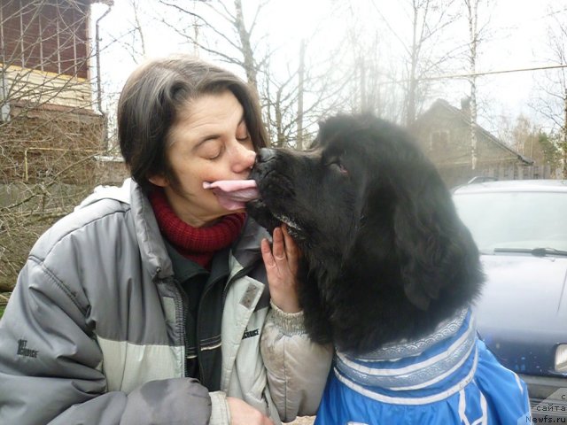 Фото: ньюфаундленд Фанньюф Улетная Девчонка (Funnewf Uletnaya Devchenka), [p1115] 2.05.2011.