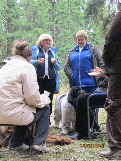 Фото: ньюфаундленд Супер Бизон Екатеринбург (Super Bizon Ekaterinburg), Светлана Плотникова, Екатерина Плотникова