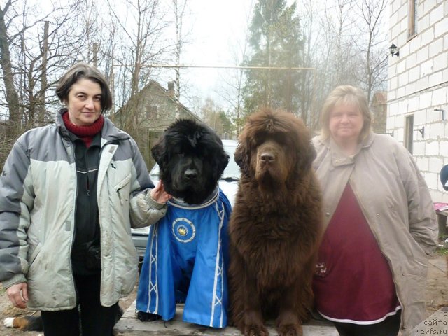 Фотография № 66212